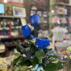 Modesto Exotic Flowers
