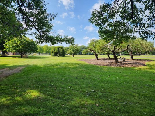 Stanley Park by null