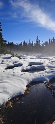 Cypress Mountain by null