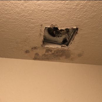 Home Repair Dudes - Before, water damage and mold from the roof leak - Handyman Near Me - Spring, Texas Home Repair Dudes - Before, water damage and mold from the roof leak - Handyman Near Me - Spring, Texas