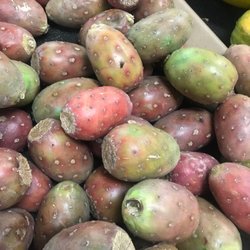 Mi Pueblo Market - There is flys all over the food