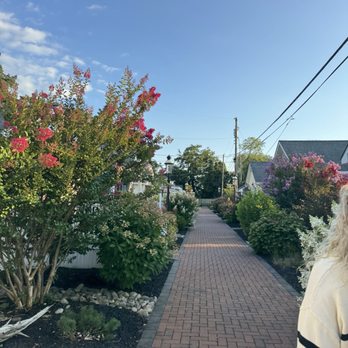 Cape Cottage Inn - Hotels Near Me - Cape May, New Jersey Cape Cottage Inn - Hotels Near Me - Cape May, New Jersey