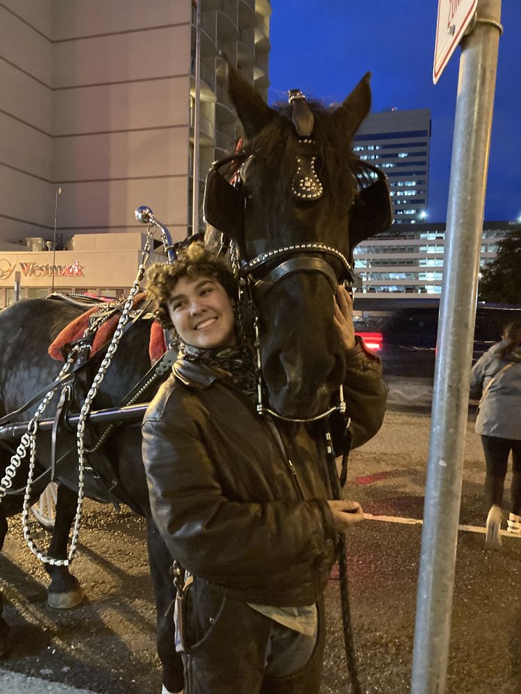 The Horse Drawn Carriage Company - equestrian in Chugiak, AK