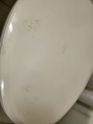 Holiday Inn Ponce & Tropical Casino by IHG by null