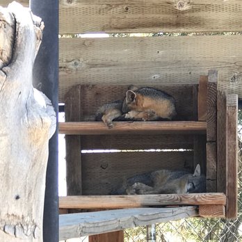 Animal Ark - Zoos Near Me - Reno, Nevada