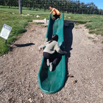 Bad Seed Cider Company - Kids friendly - Wineries Near Me - Highland, New York Bad Seed Cider Company - Kids friendly - Wineries Near Me - Highland, New York
