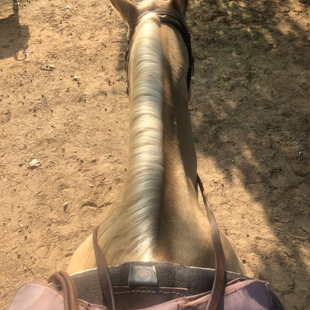 Widowmaker Trail Rides - Horseback Riding Near Me - Southlake, Texas Widowmaker Trail Rides - Horseback Riding Near Me - Southlake, Texas