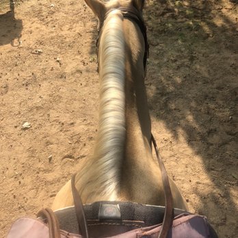 Widowmaker Trail Rides - Horseback Riding Near Me - Southlake, Texas