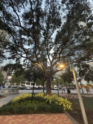 Market Square Park by null
