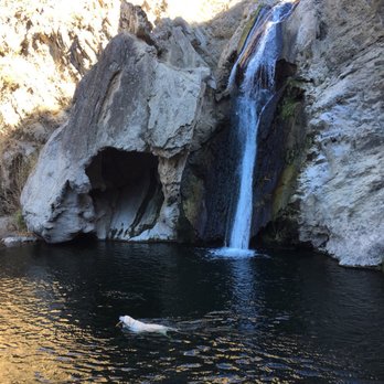 Paradise Falls - Swimming dog! - Hiking Near Me - Thousand Oaks, California Paradise Falls - Swimming dog! - Hiking Near Me - Thousand Oaks, California
