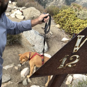 Stoddard Peak Hike - This sign will indicate you have reached the peak - Hiking Near Me - Upland, California Stoddard Peak Hike - This sign will indicate you have reached the peak - Hiking Near Me - Upland, California