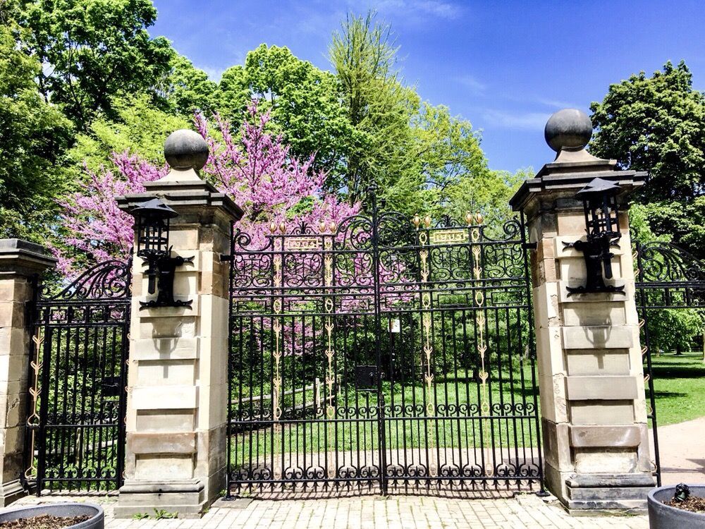Craigleigh Gardens Image