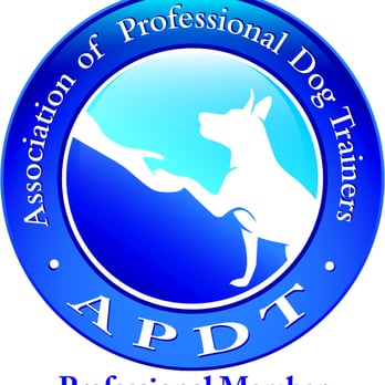 Iron Will Dog Training - Pet Training Near Me - Covington, Georgia Iron Will Dog Training - Pet Training Near Me - Covington, Georgia