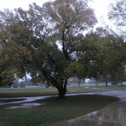 Eagle Creek Golf Course - Nice tree course seen from the dining hall
