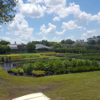 Hibernia Nursery - Nurseries & Gardening Near Me - Altamonte Springs, Florida Hibernia Nursery - Nurseries & Gardening Near Me - Altamonte Springs, Florida