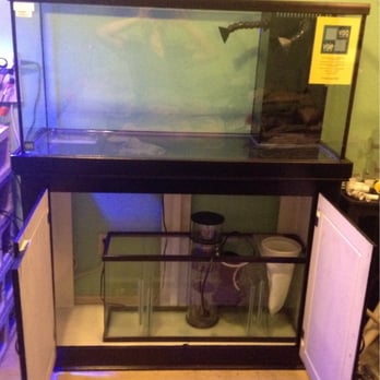 Coastal Aquariums - 90 gallon custom Visio glass aquarium purchased through Mike at Coastal Aquariums. Excellent price and quality. - Aquarium Services Near Me - Arroyo Grande, California Coastal Aquariums - 90 gallon custom Visio glass aquarium purchased through Mike at Coastal Aquariums. Excellent price and quality. - Aquarium Services Near Me - Arroyo Grande, California