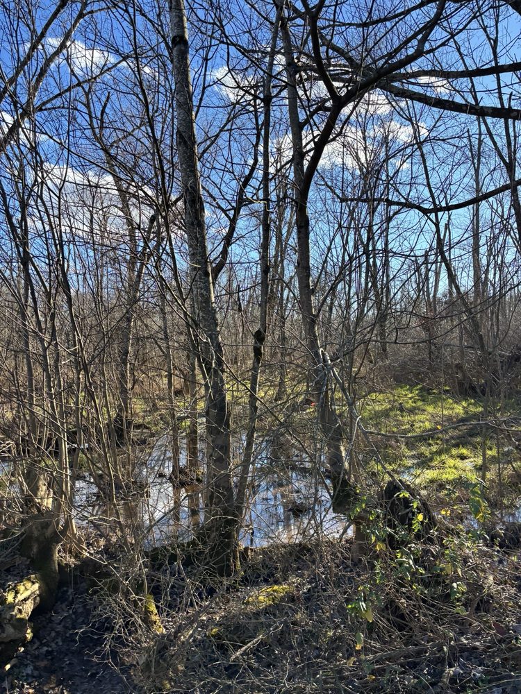 Weddington Road Dog Park