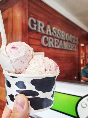 Grassroots Ice Cream 256 Photos 9 Reviews Ice Cream Frozen Yogurt 4 Park Pl Granby Ct United States Phone Number Yelp