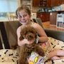 Gail Zamora's Toy Poodles