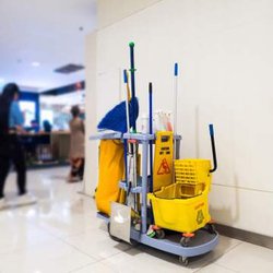Royal Janitorial Services - Let Royal Janitorial handle the dirty work.