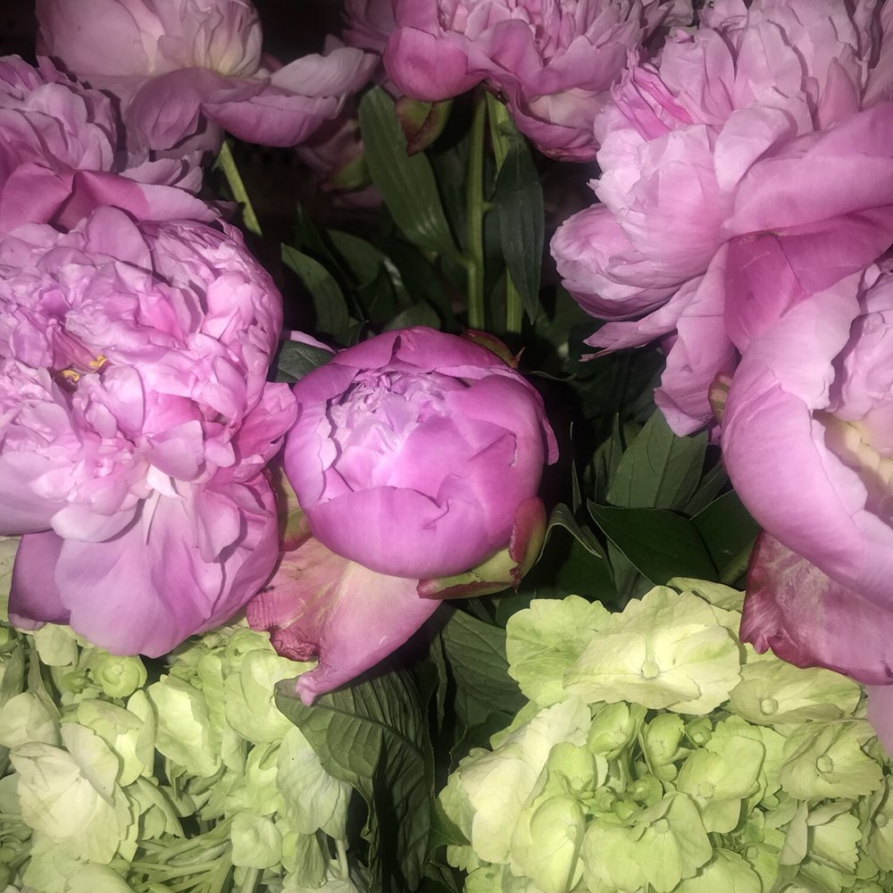 Lexis Florist - Florists Near Me - Houston, Texas Lexis Florist - Florists Near Me - Houston, Texas