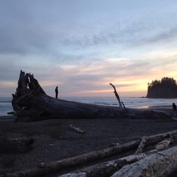 Quileute Oceanside Resort - Stunning - Hotels Near Me - La Push, Washington Quileute Oceanside Resort - Stunning - Hotels Near Me - La Push, Washington