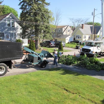 A J DeNoncour Tree Service - Chopping up branches - Tree Services Near Me