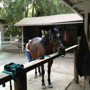 Pencil Belly Ranch - Horse Boarding Near Me - Novato, California Pencil Belly Ranch - Horse Boarding Near Me - Novato, California