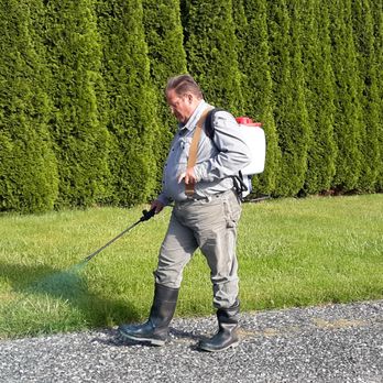 Call Luke - a man spraying grass with a spray gun - Pest Control Near Me - Port Angeles, Washington Call Luke - a man spraying grass with a spray gun - Pest Control Near Me - Port Angeles, Washington