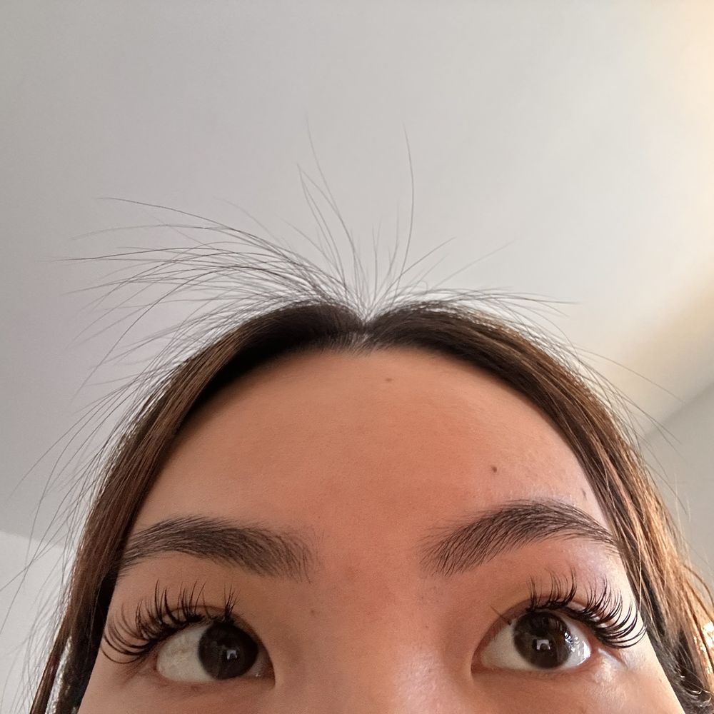 August 13th. Obviously a lot missing but still looks like as if I just got a natural set done. August 13th. Obviously a lot missing but still looks like as if I just got a natural set done.