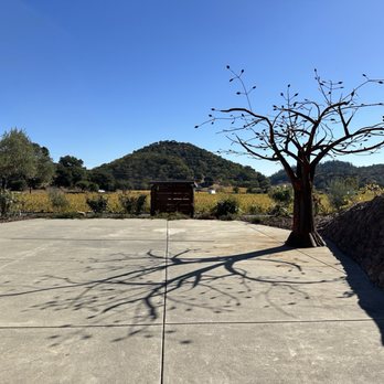 Baldacci Family Vineyards - Beautiful sculpture outside the cave. - Wineries Near Me - Napa, California Baldacci Family Vineyards - Beautiful sculpture outside the cave. - Wineries Near Me - Napa, California
