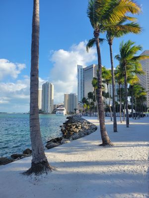 Bayfront Park by null