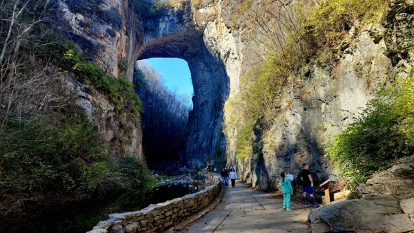 Natural Bridge State Park by null