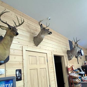 Mobil - Deer heads. - Gas Stations Near Me - Standish, Michigan