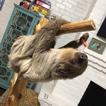 Pacodu Exotics - Zoos Near Me