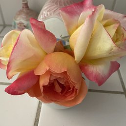 2021 first roses from my gardem