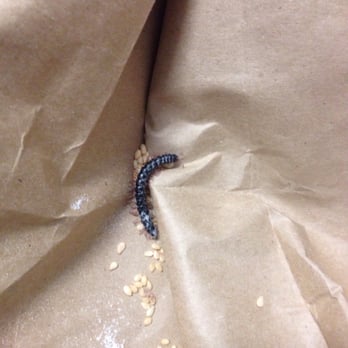 Tiffany Bakery - Really ? Extra protein? - Bakeries Near Me - Baulkham Hills, NSW