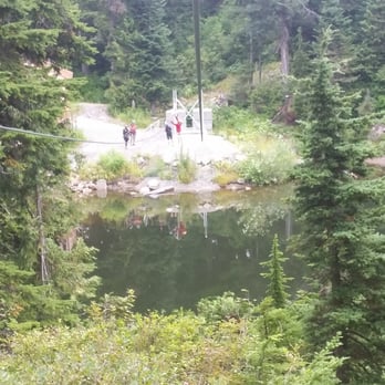 Grouse Mountain Ziplines - View from #3 - Ziplining Near Me - North Vancouver, British Columbia Grouse Mountain Ziplines - View from #3 - Ziplining Near Me - North Vancouver, British Columbia