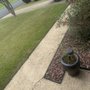 Photo of Pressure Wash Trash Cans By Drea