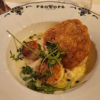 Le Procope - Risotto w. Scallops 5/5! - French Near Me - Paris, 75
