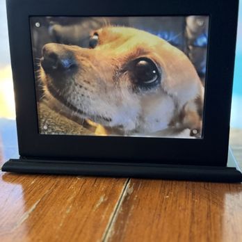 Mobile Pet Cremations - Pet Cremation Services Near Me