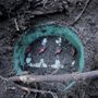 Photo of Septic Response