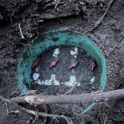 Septic Response