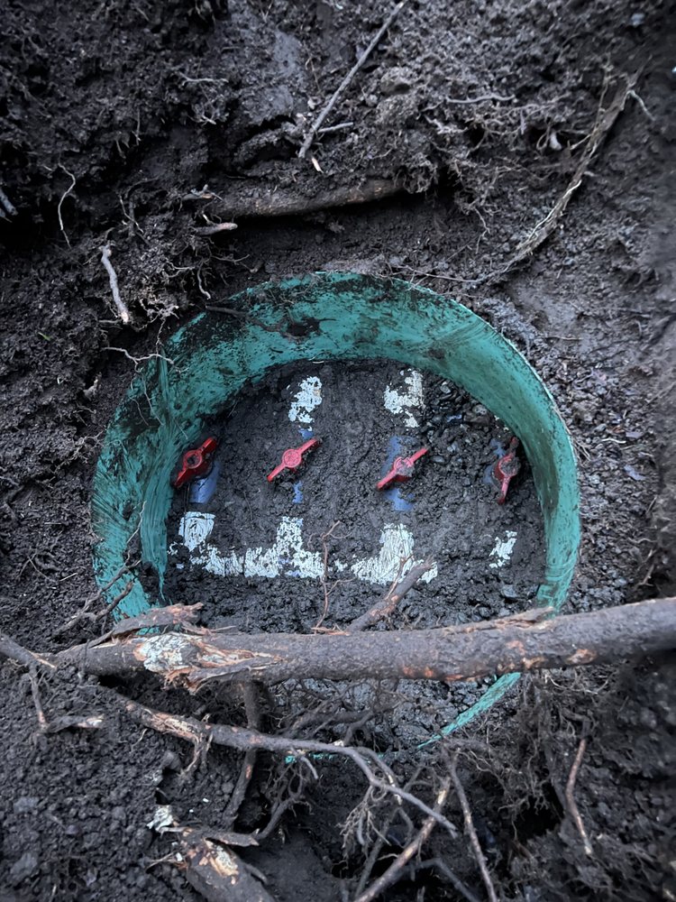 Slide of Septic Response