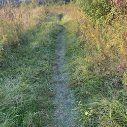 Beck Lake Forest Preserve - Walking trail