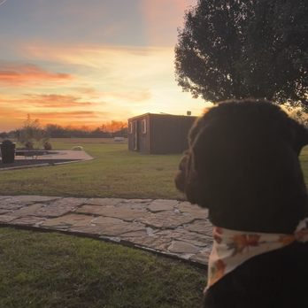 Breezy Acres Horse Farm - Another peaceful sunset - Horse Boarding Near Me - Tom Bean, Texas Breezy Acres Horse Farm - Another peaceful sunset - Horse Boarding Near Me - Tom Bean, Texas