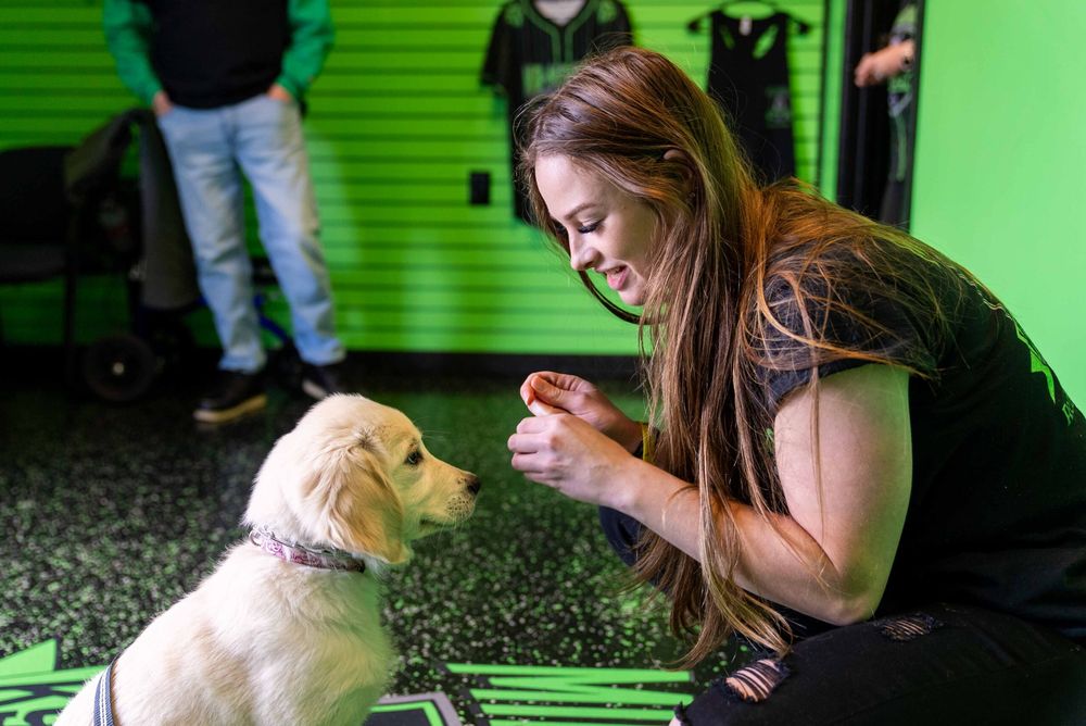 Mid-Michigan K9 Academy - pet boarding facility in Troy, MI