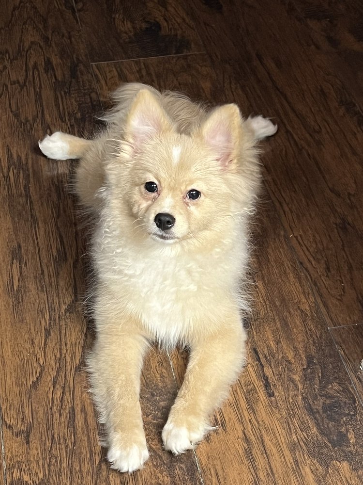 COLDWATER KENNEL Updated August 2024 11 Photos 12059 Camp Comfort