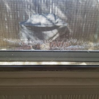 Prescott Cabin Rentals - Torn bug screen towards grill area. - Guest Houses Near Me - Prescott, Arizona