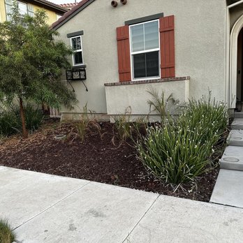 F & M Landscaping - Front yard - Landscaping Near Me F & M Landscaping - Front yard - Landscaping Near Me